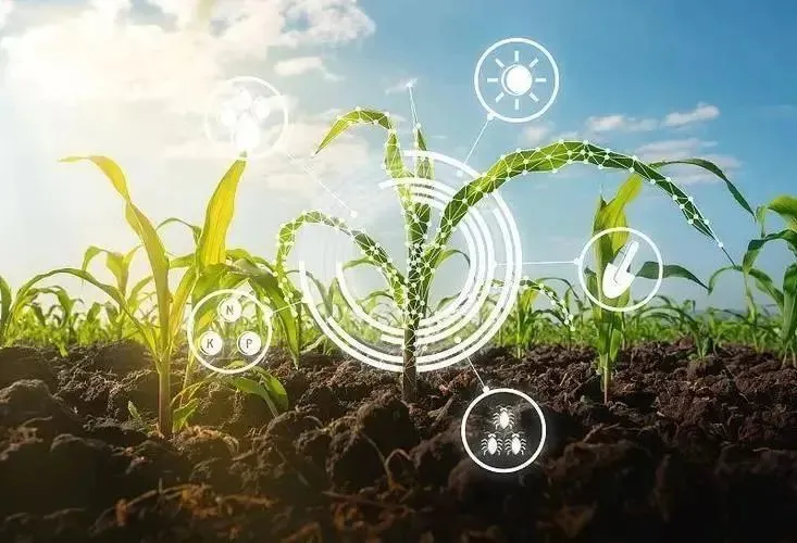 农业数字化转型加强新农资、新农具、新农企、新农活、新农人建设